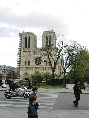 Notre Dame - Ile de France - Paris (Paris)