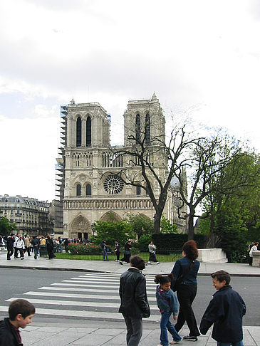 Foto Notre Dame - Paris