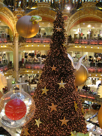 Fotos Weihnachtsbaum der Galeries Lafayette