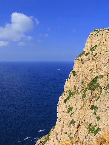 Blick auf das Meer - Mallorca