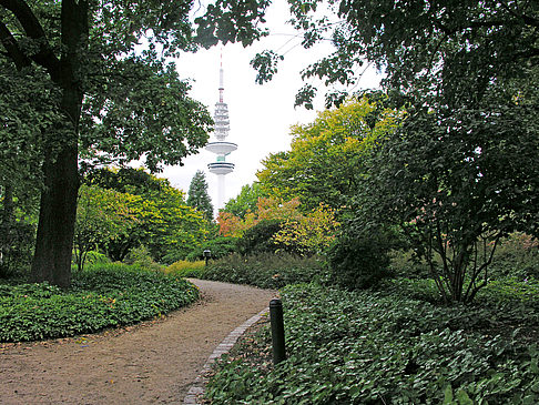 Japanischer Garten - Hamburg (Hamburg)