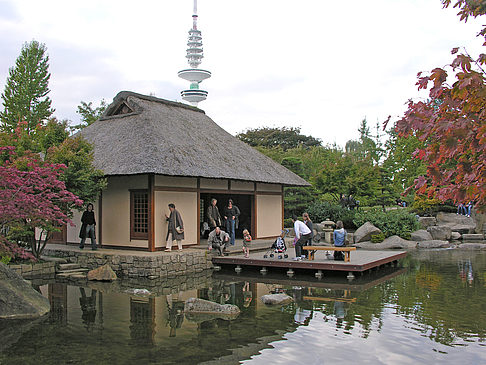 Japanischer Garten - Hamburg (Hamburg)