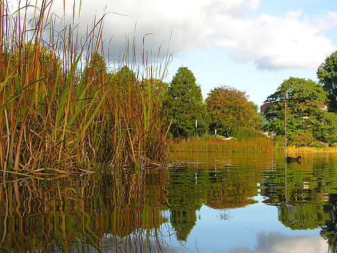 Planten un Blomen - Hamburg (Hamburg)