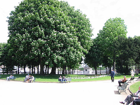 Garten vom Louvre - Ile de France - Paris (Paris)