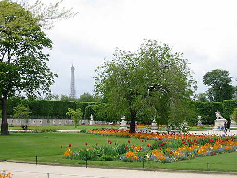 Garten vom Louvre - Ile de France - Paris (Paris)