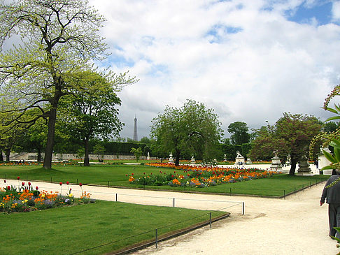 Garten vom Louvre - Ile de France - Paris (Paris)