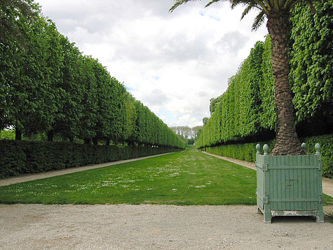 Garten von Versailles - Ile de France - Paris (Paris)