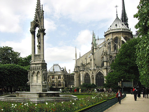 Foto Notre Dame - Paris