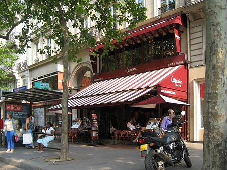 Cafés Fotos