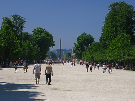 Fotos Jardin des Tuilleries | Paris