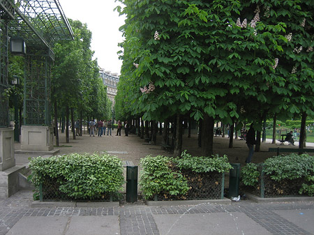 Fotos Les Halles