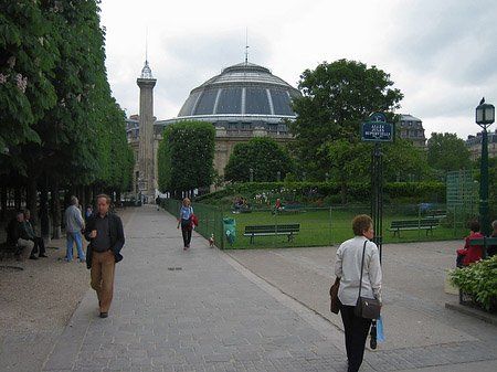 Les Halles - Ile de France - Paris (Paris)