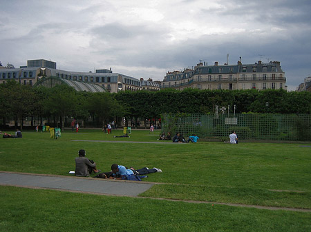 Les Halles - Ile de France - Paris (Paris)