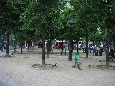 Les Halles - Ile de France - Paris (Paris)