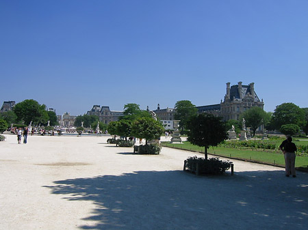 Louvre - Ile de France - Paris (Paris)