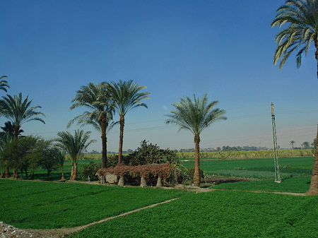 Fahrt von den Kolossen nach Luxor - Landesinnere