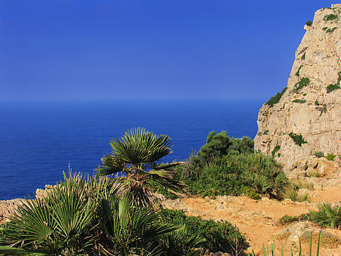 Blick auf das Meer - Mallorca