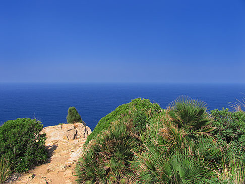 Blick auf das Meer - Mallorca