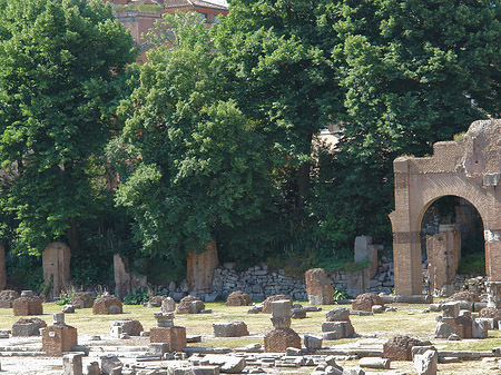 Basilica Iulia - Latium (Rom) (Rom)