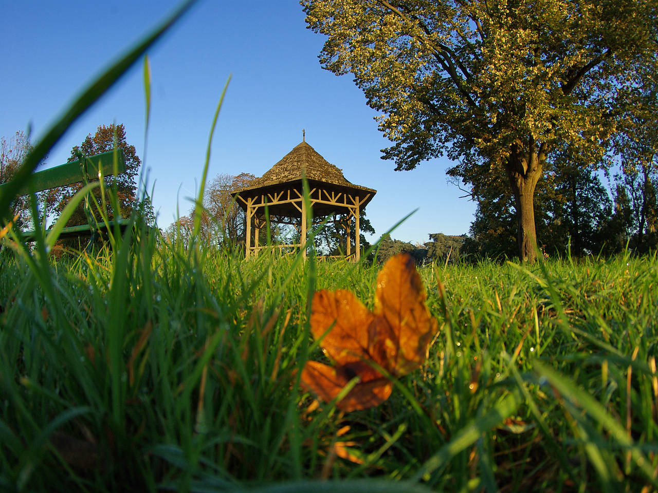 Foto Bois de Vincennes - Vincennes